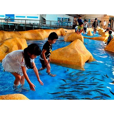 ふるさと納税 沼津市 伊豆・三津シーパラダイス 入場招待券(1名様) |  | 01