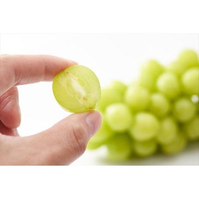 ふるさと納税 長野市 [2026年先行受付]長野市産 シャインマスカット1房(約700g)