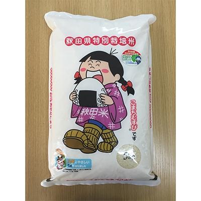 ふるさと納税 横手市 秋田県横手市平鹿町醍醐産特別栽培米あきたこまち5kg(精米)