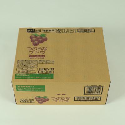 ふるさと納税 杵築市 つぶらなブドウ　190g×30本 |  | 03