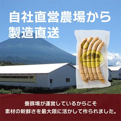 ふるさと納税 富士河口湖町 【山中湖ハム 無添加ソーセージ】防腐剤・保存料不使用　20本セット/0.8kg |  | 01