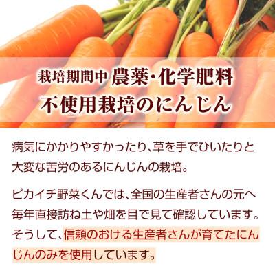 ふるさと納税 函南町 無添加ストレートにんじんジュース900ml×1本 国産