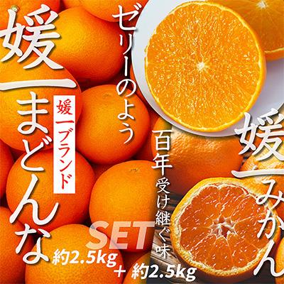 ふるさと納税 八幡浜市 [2026年11月以降発送]「媛一みかん」と「媛一まどんな」の2品種・約5kg[C28-29]