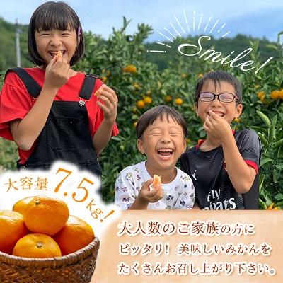 ふるさと納税 八幡浜市 三代目がつくる愛媛みかん 7.5kg【訳あり(家庭