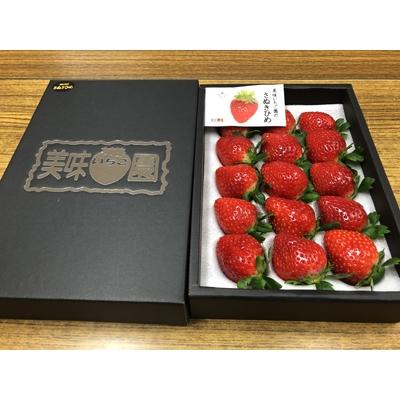 ふるさと納税 さぬき市 [12月〜1月発送]美味いちご園「さぬきひめ」 大粒約400g化粧箱入り