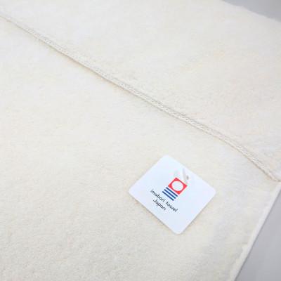 ふるさと納税 今治市 ( 今治タオル ) エアケット [IE05460]