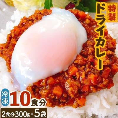 ふるさと納税 潮来市 特製ドライカレー 10食分(2食分300g×5袋)