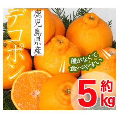 ふるさと納税 出水市 デコポン [約5kg]