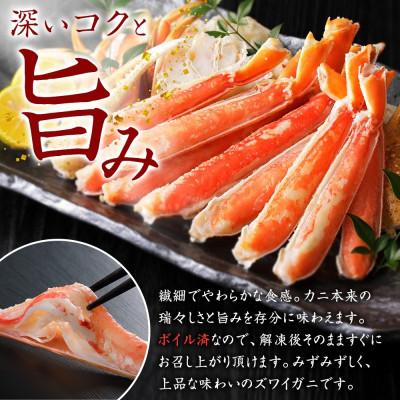 ふるさと納税 弟子屈町 ズワイガニ足 約3kg 6〜9人前 蟹ハサミ・ガイド付 ボイル済み 北海道 弟子屈町 3332_2