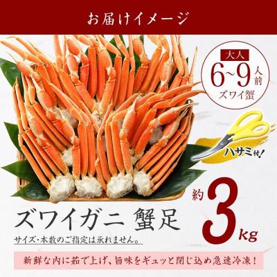 ふるさと納税 弟子屈町 ズワイガニ足 約3kg 6〜9人前 蟹ハサミ・ガイド付 ボイル済み 北海道 弟子屈町 3332_3