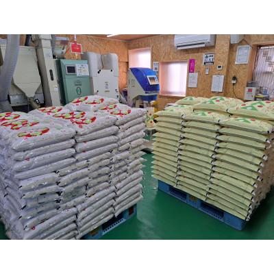 ふるさと納税 酒田市 【令和8年産 新米予約】[精米]特別栽培米 つや姫　10kg(5kg×2袋)「農家直送」 KA |  | 02