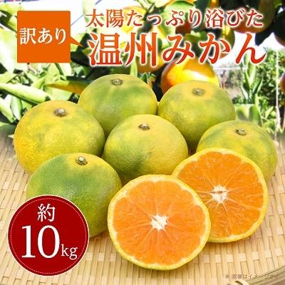 ふるさと納税 高松市 [2025年訳あり]太陽たっぷり浴びた瀬戸内温州みかん ご家庭用 約10kg[10月〜1月発送]