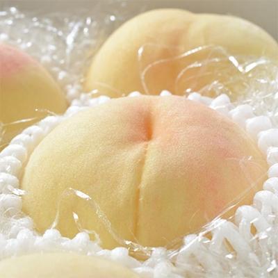 ふるさと納税 九度山町 【農園直送】朝採れの和歌山の桃 約2kg・秀品【2026年度発送分】(九度山町)の画像