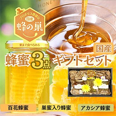 ふるさと納税 君津市 はちみつ工房 国産 巣蜜(コムハニー)3点 ギフトセット