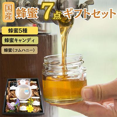ふるさと納税 君津市 はちみつ工房 国産 巣蜜(コムハニー)7点 ギフトセット