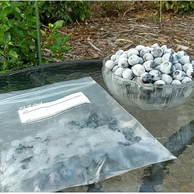 ふるさと納税 小山市 冷凍ブルーベリー1.5kg:大粒完熟 |  | 01