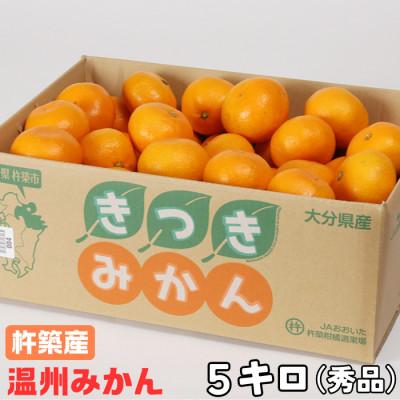 ふるさと納税 杵築市 杵築産 温州みかん 5kg(秀品)(S玉〜L玉)