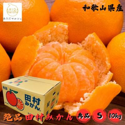 ふるさと納税 湯浅町 &lt;2025年11月〜発送&gt;[和歌山プラミアムブランド]田村みかん Sサイズ 秀品 約10kg