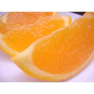 ふるさと納税 広川町 [農園直送]みずみずしい果汁!清見オレンジ 約7kg(SS〜2L混合サイズ)