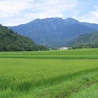 ふるさと納税 南魚沼市 日本酒 八海山 大吟醸 45%精米 1800ml |  | 03