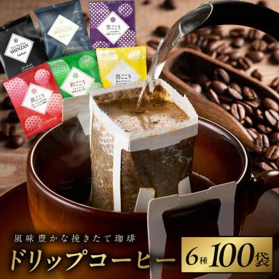 ふるさと納税 泉佐野市 厳選ドリップコーヒー 6種 100袋 工場直送 本格 詰合せ セット