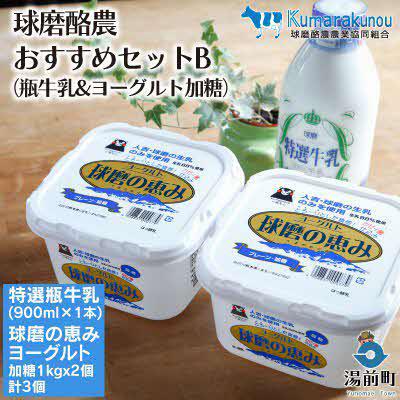 ふるさと納税 湯前町 球磨酪農おすすめセットB(瓶牛乳&amp;ヨーグルト加糖×2個)