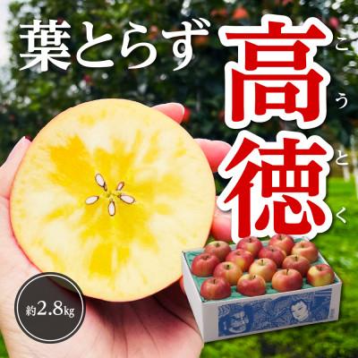 ふるさと納税 黒石市 [令和8年11月上旬〜発送]今年もお届け。味にこだわる生産者から「葉とらずこうとく」2.8kg
