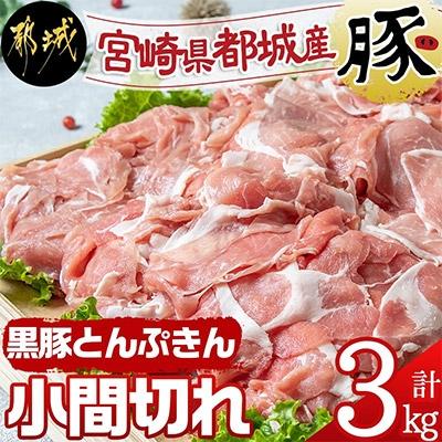 ふるさと納税 都城市 [黒豚とんぷきん]小間切れ3kg