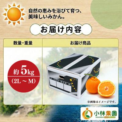 ふるさと納税 八幡浜市 小林果園の不知火(約5kg)【C24-20】 |  | 01