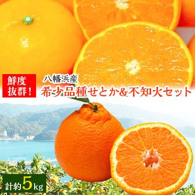 ふるさと納税 八幡浜市 小林果園のせとか&amp;不知火セット(各約2.5kg入)[C24-21]