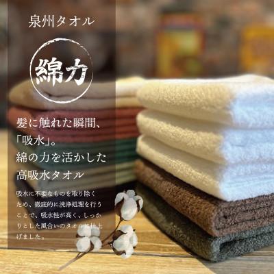 ふるさと納税 泉佐野市 高吸水 フェイスタオル10枚セット これぞ綿力!泉州タオル |  | 01