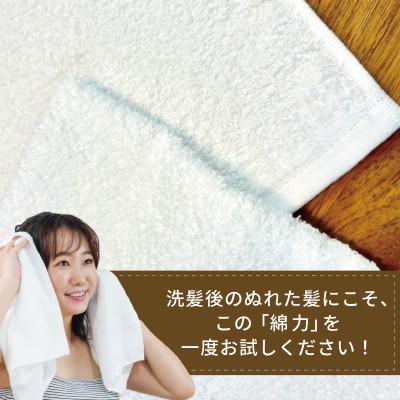 ふるさと納税 泉佐野市 高吸水 フェイスタオル10枚セット これぞ綿力!泉州タオル |  | 03