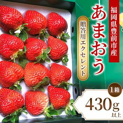 ふるさと納税 豊前市 2月・3月発送 いちご贈答用エクセレント[あまおう]福岡県豊前市 430g以上×1箱