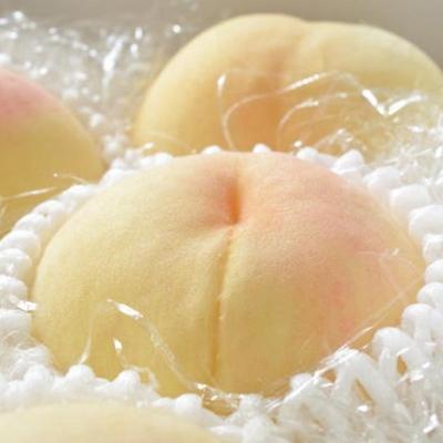 ふるさと納税 高野町 【農園直送】朝採れの和歌山の桃 約2kg・秀品【2026年度発送分】(高野町)の画像