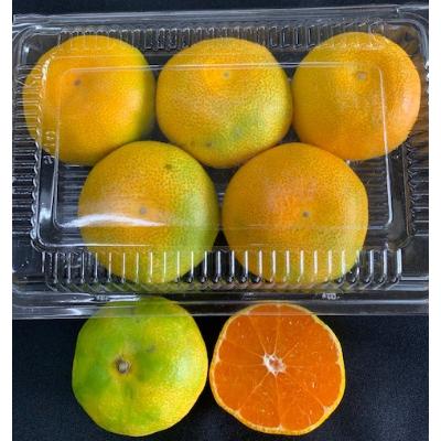 ふるさと納税 湯浅町 グリーンハウスみかん 4パック