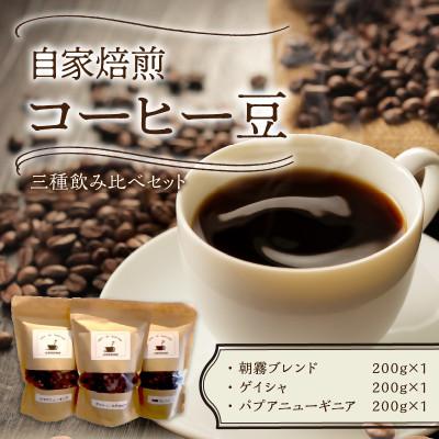 ふるさと納税 中間市 [自家焙煎三種のコーヒー豆]朝霧ブレンド・ゲイシャ・パプアニューギニア各200g
