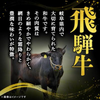 ふるさと納税 神戸町 飛騨牛A5等級　ヒレステーキ　約300g(150g×2) |  | 02
