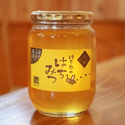 ふるさと納税 一戸町 一戸町産はちみつ はち郎のはちみつ850g(とち)