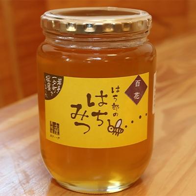 ふるさと納税 一戸町 一戸町産はちみつ はち郎のはちみつ850g(百花)