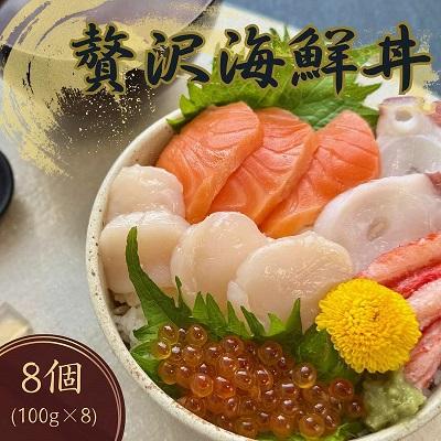 ふるさと納税 北見市 [北海道北見市加工]贅沢海鮮丼8個入りセット