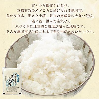 ふるさと納税 亀岡市 【令和7年産】無洗米 京都丹波産 キヌヒカリ 10kg(2kg×5袋) 真空パック