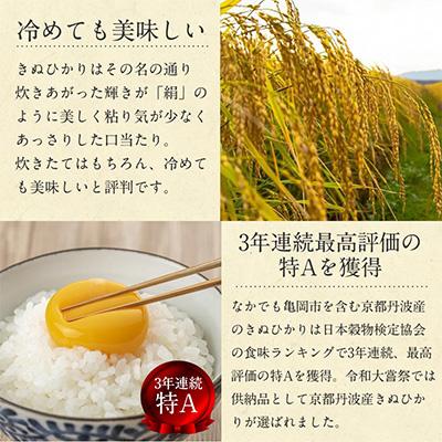 ふるさと納税 亀岡市 【令和7年産】無洗米 京都丹波産 キヌヒカリ 10kg(2kg×5袋) 真空パック