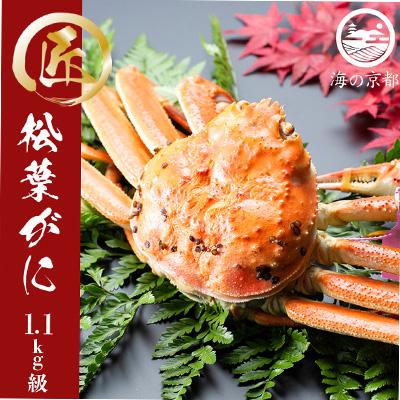ふるさと納税 宮津市 茹で松葉蟹 特々大 1杯 (1,100g級)