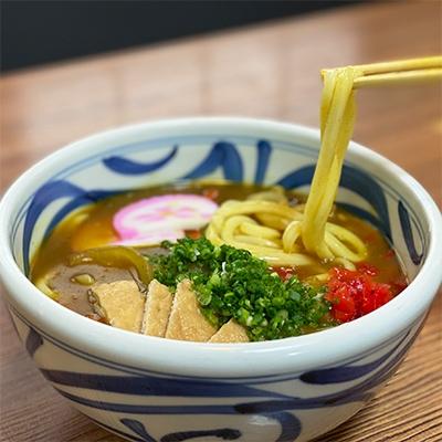 ふるさと納税 さぬき市 冷凍カレーうどんだし・半生うどんセット