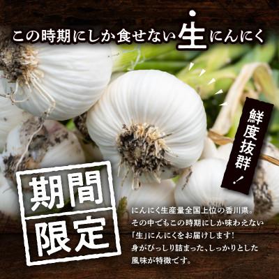 ふるさと納税 高松市 【感謝企画3000セット・2027年5〜6月発送】厳選