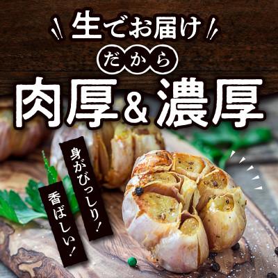 ふるさと納税 高松市 【感謝企画3000セット・2027年5〜6月発送】厳選
