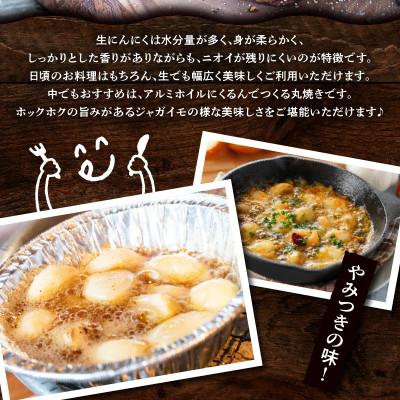 ふるさと納税 高松市 【感謝企画3000セット・2027年5〜6月発送】厳選
