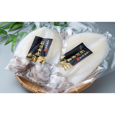 ふるさと納税 対馬市 [対馬産] 水イカ(アオリイカ)生冷凍1kg