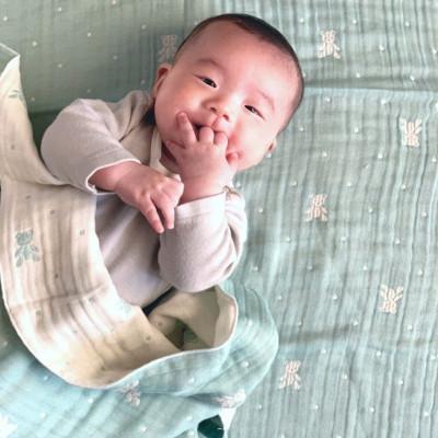 ふるさと納税 泉佐野市 【babybear】泉州南部織/多重ガーゼケット&タオルセット(ブルー)G1974_2