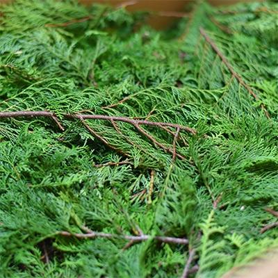 ふるさと納税 上松町 【天然木曽檜100%使用】天然木曽ひのき精油10ml+天然ひのきスプレー30mlセット |  | 01